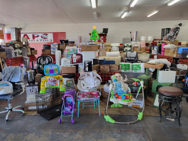 SPECIAL Christmas Auction